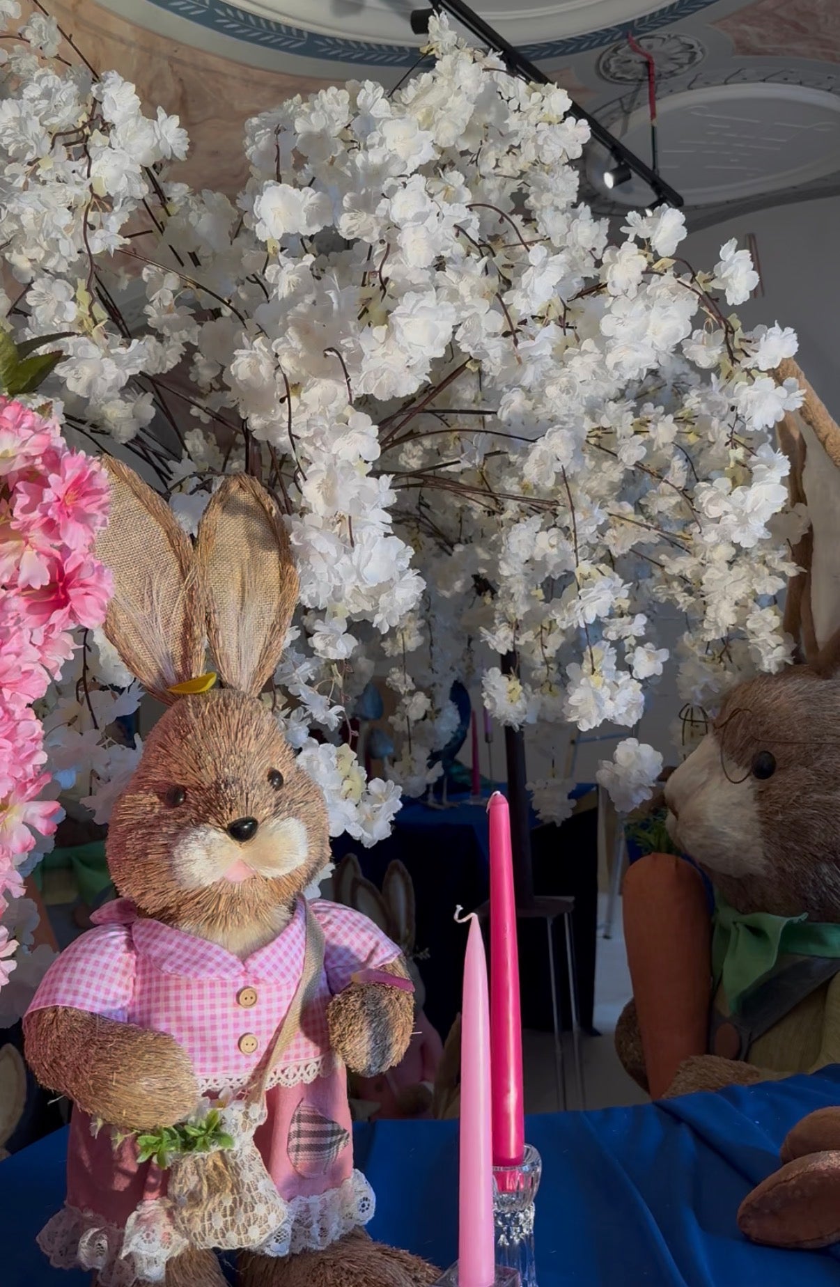 Čerešňový strom sakura 140x150cm