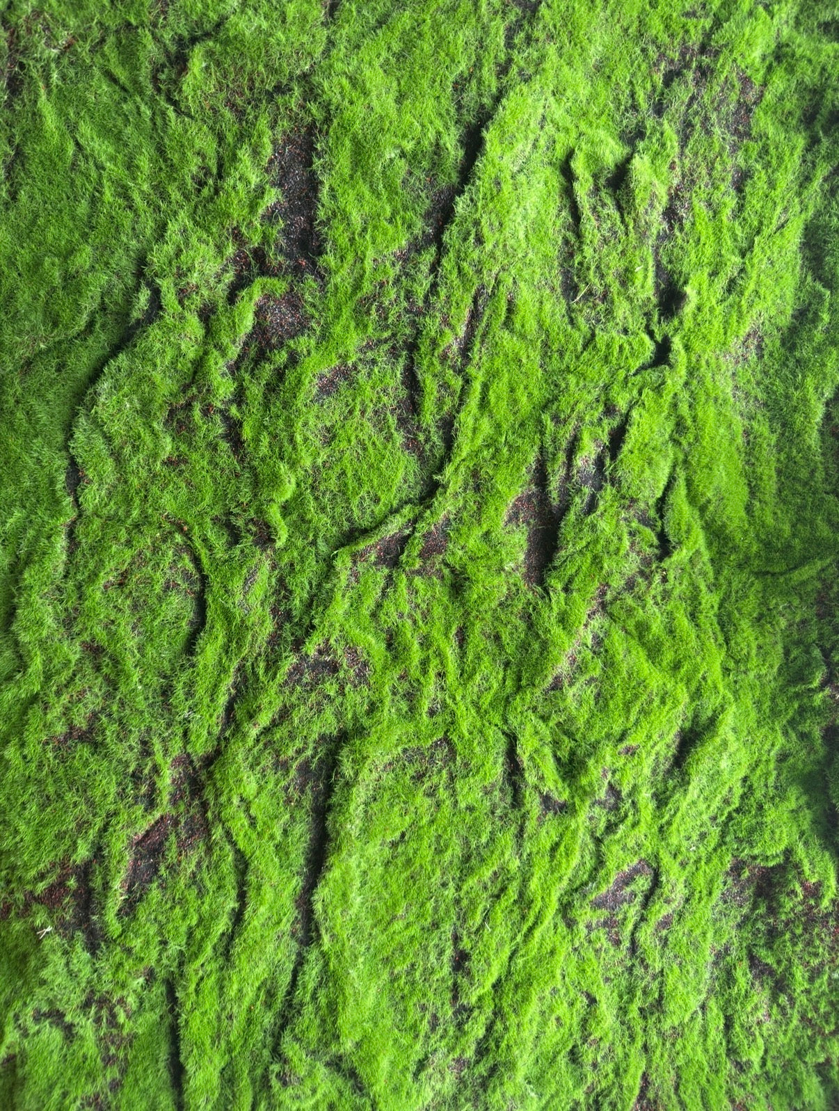 Moss rug 100x100 cm