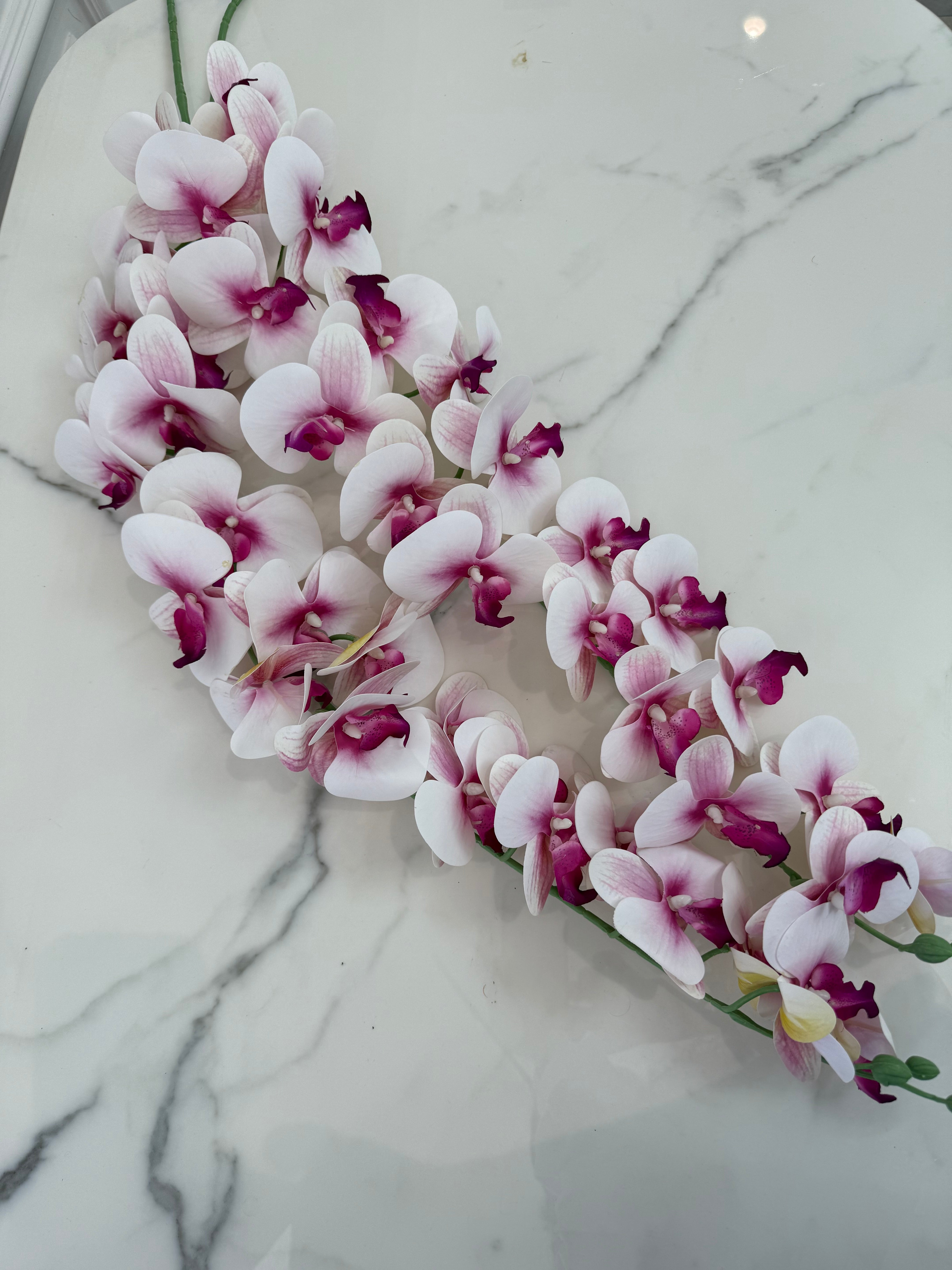 Biela orchidea 100 cm